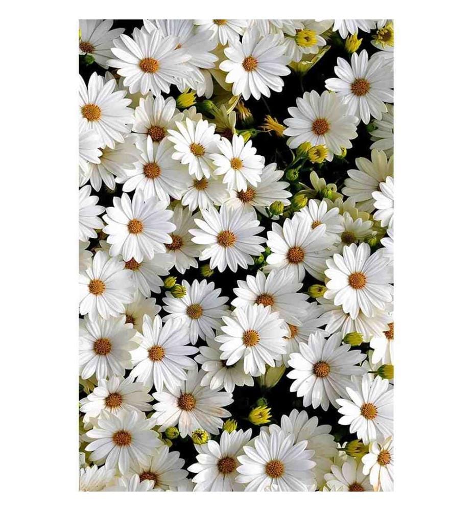 Tappeto da sala, 100 x 150, , Multicolore, Poliestere, 850 gr-m²,