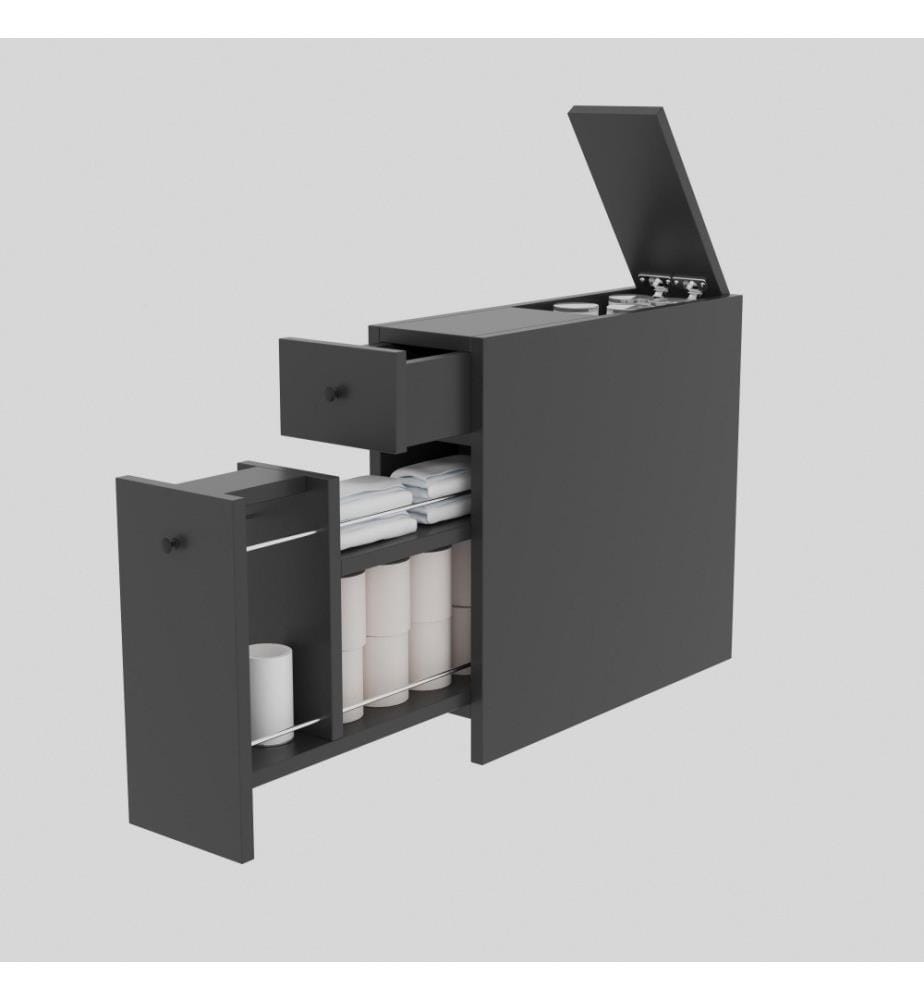 Armoire de toilette, Anthracite, panneau de particules mélaminé