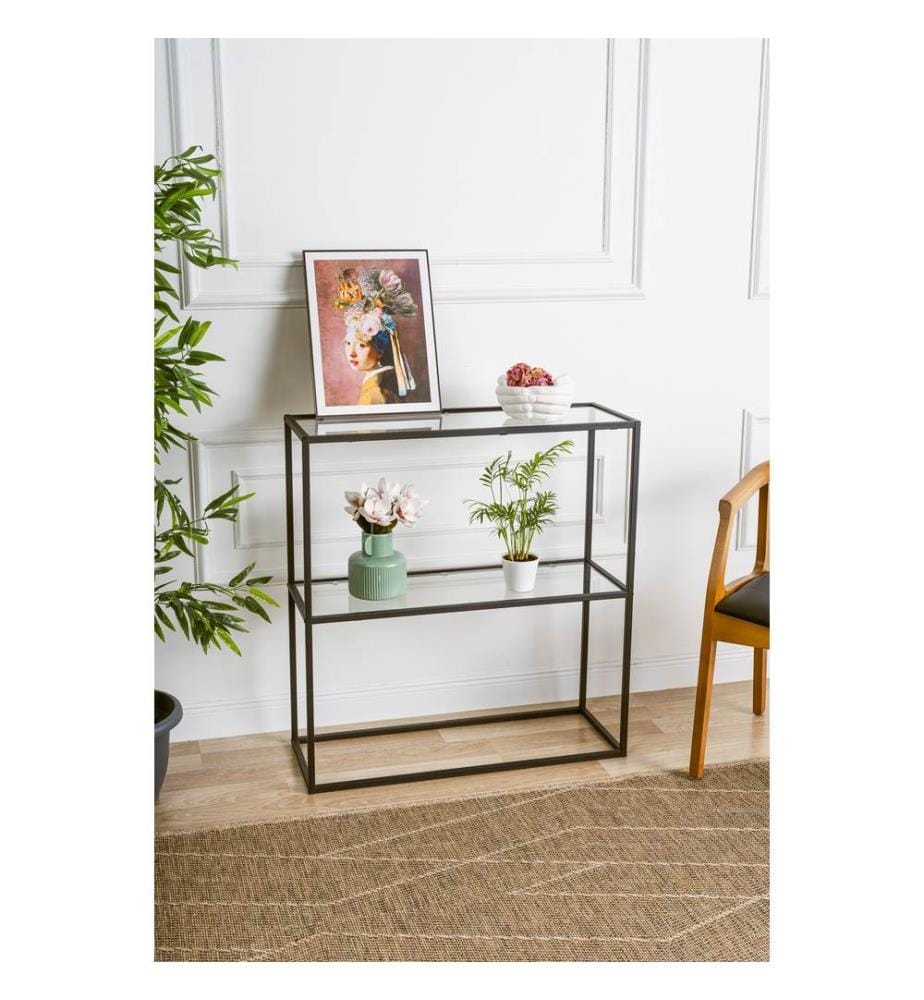 Sideboard, Schwarz, gehärtetes Glas, Rahmen: %100 Metall