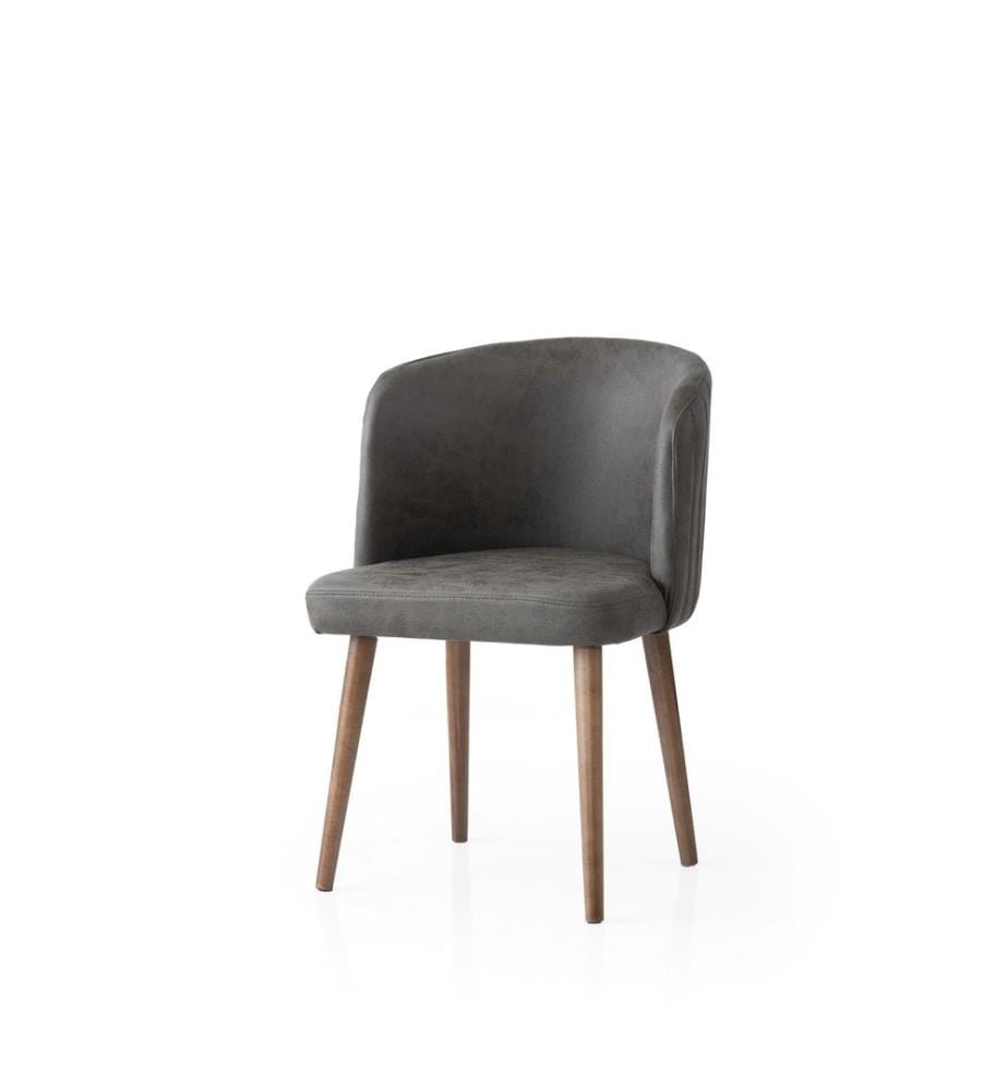 Ensemble de chaises, 2 pièces, anthracite, structure : 100 % fer