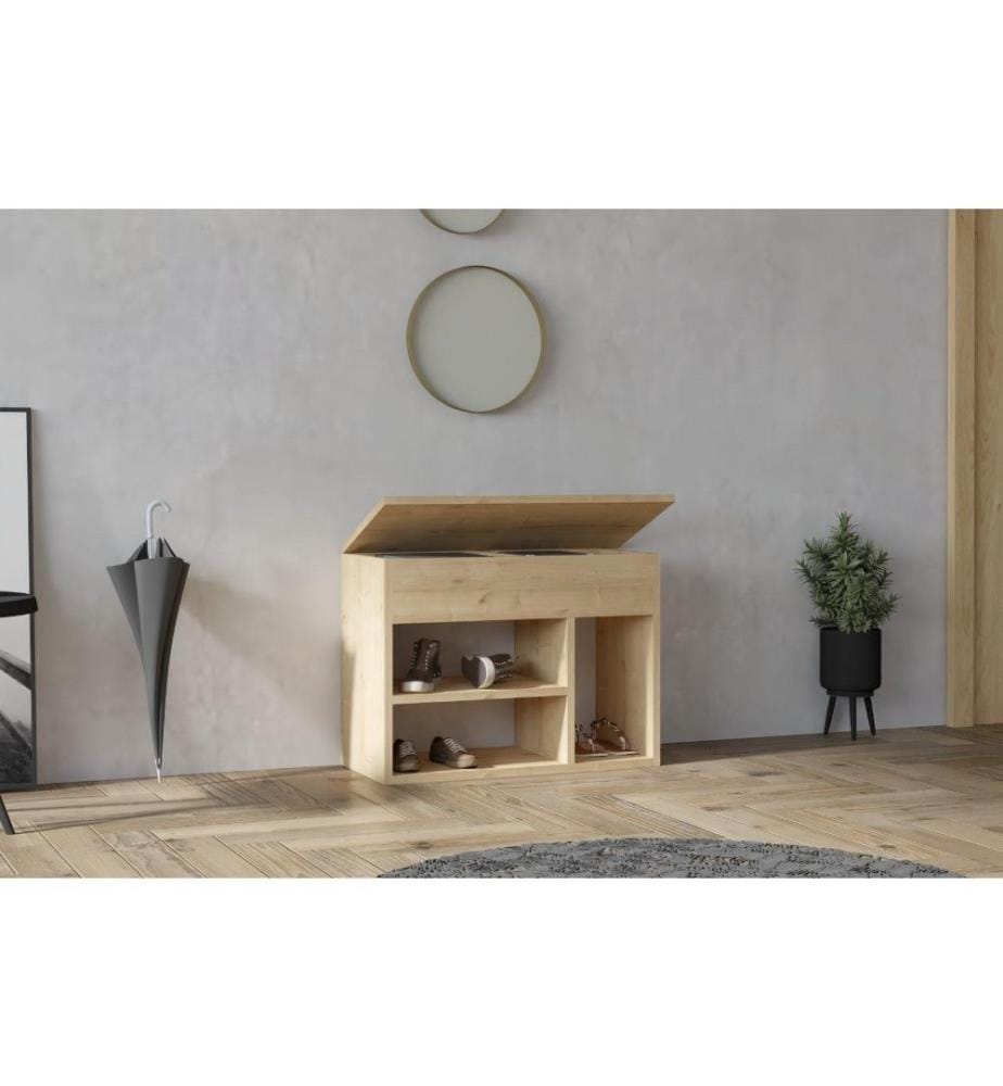 Meuble à chaussures, chêne, panneau de particules mélaminé