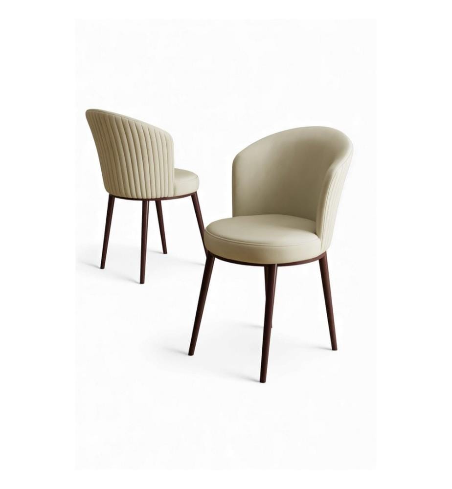 Ensemble de chaises, 2 pièces, 100 % métal, crème, marron