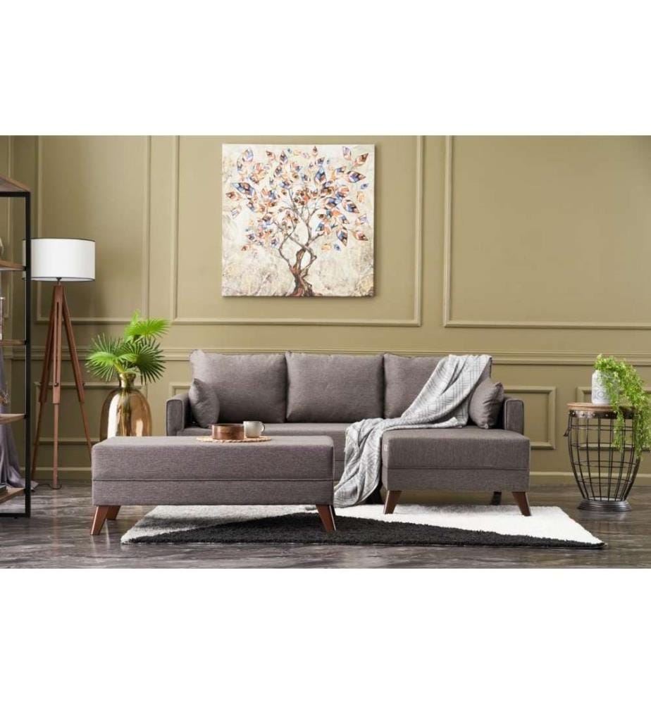 Corner Sofa-Bed, Brown, Fir Tree & MDF Frame, Polyester Fabric