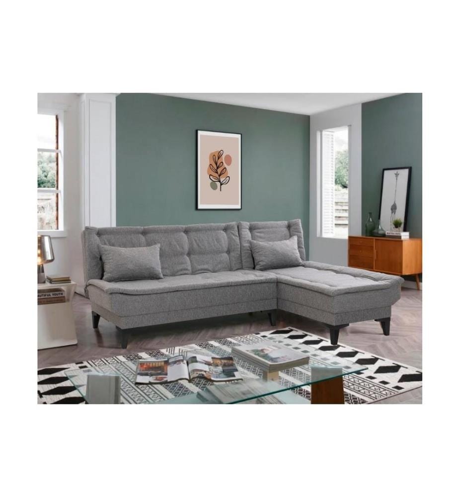 Ecksofa-Bett, Grau, Gestell Hainbuche, Polyester-Stoff