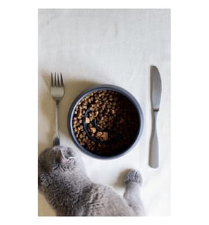 Pet Food Bowl, Black, 100% CERAMIC