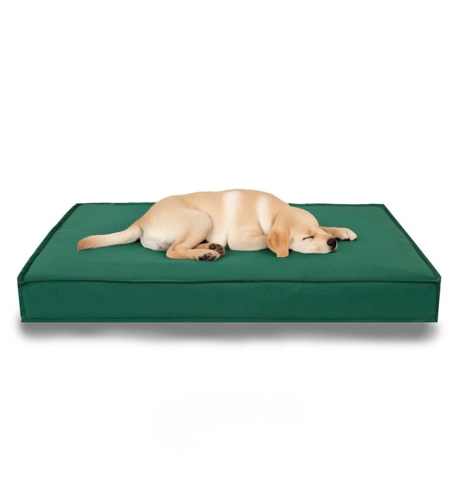 Pet Bed, Green, ULTRA SOFT HIGH DENSITY FOAM