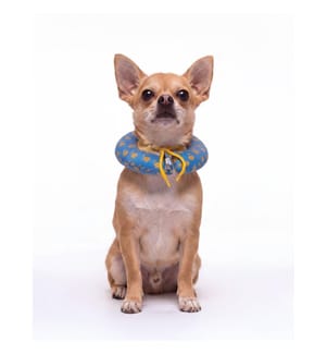 Collier donut pour animaux de compagnie, 100 % polyester, bleu