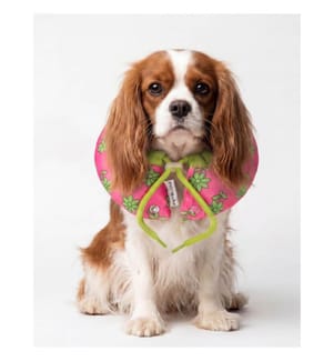 Collier donut pour animaux de compagnie, 100 % polyester, rose
