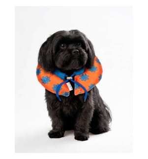 Collier donut pour animaux de compagnie, 100 % polyester, orange