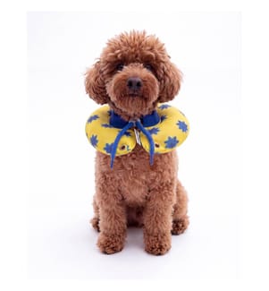 Collier donut pour animaux de compagnie, 100 % polyester, jaune