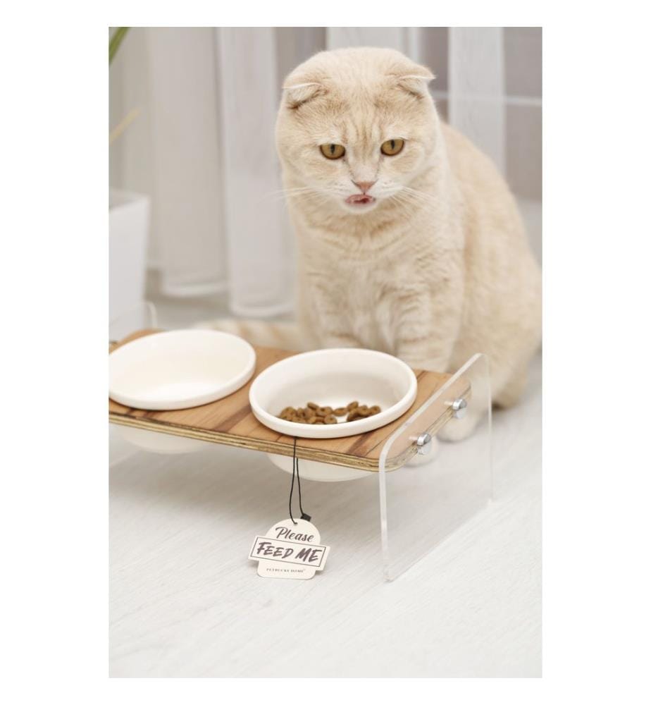 Futternapf-Set für Haustiere, 3-teilig, 50 % MDF / 50 % Plexiglas, transparent