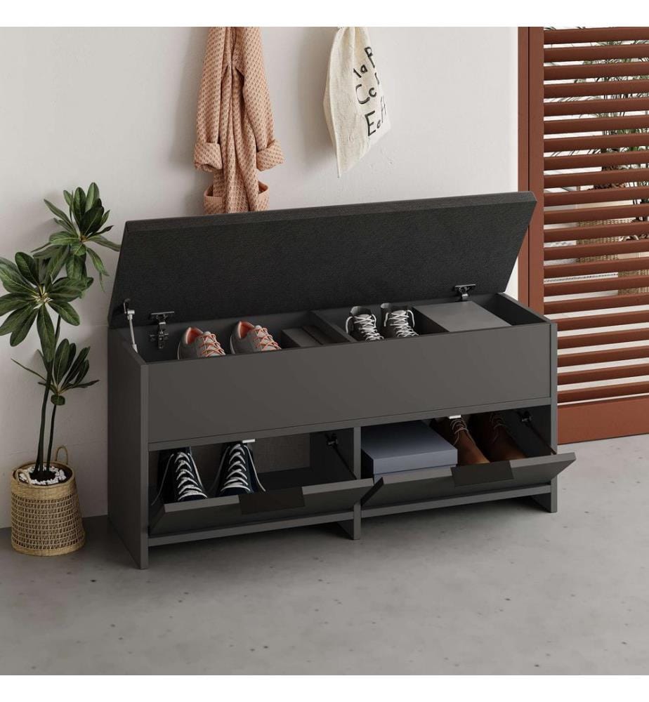 Schuhschrank, Anthrazit, 100 % melaminbeschichtete Spanplatte