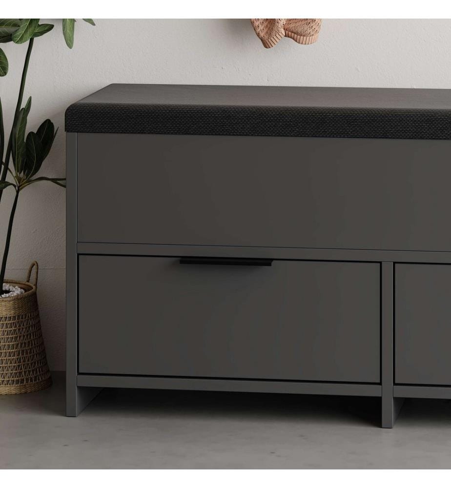 Schuhschrank, Anthrazit, 100 % melaminbeschichtete Spanplatte