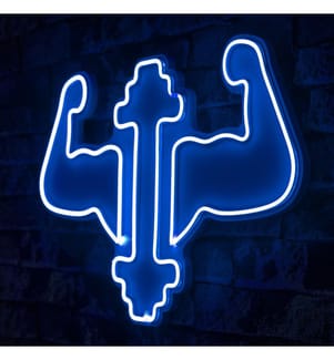Éclairage décoratif à diodes électroluminescentes en plastique, bleu, bandes de néon flexibles