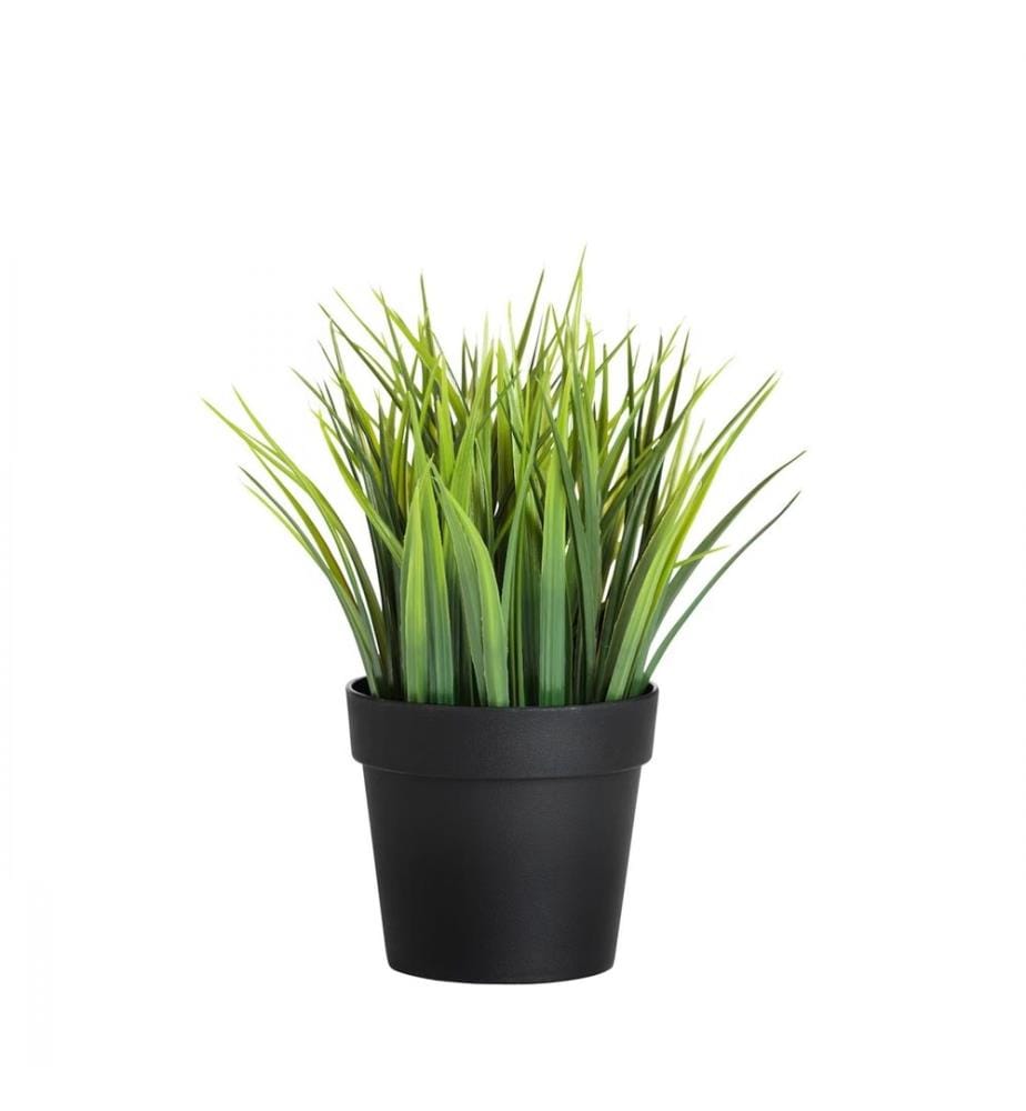 Vaso decorativo, Nero, Verde, Corpo in Plastic