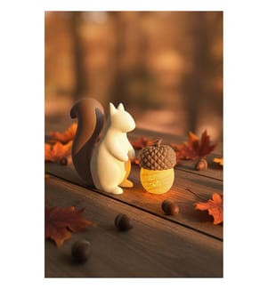 Schmuckset, 2-teilig, Creme, Braun, 100 % Biokunststoff