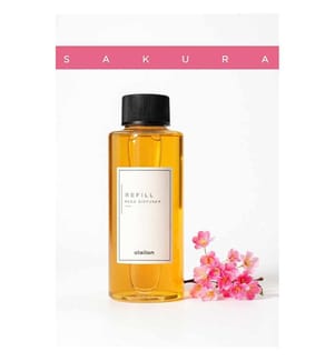 Duftstäbchen-Nachfüllpackung, Kirschblüte, Bernstein
