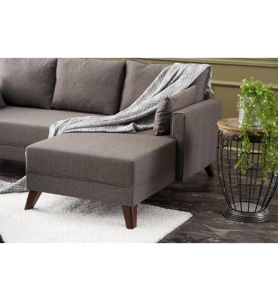 Braun, Schlafsofas, Tannenbaum Rahmen & MDF
