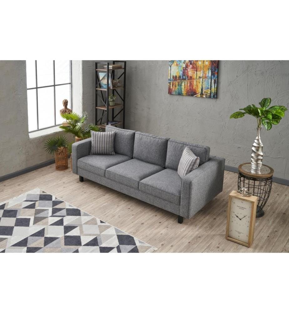 Grau, Schlafsofas, Buchenholz Rahmen