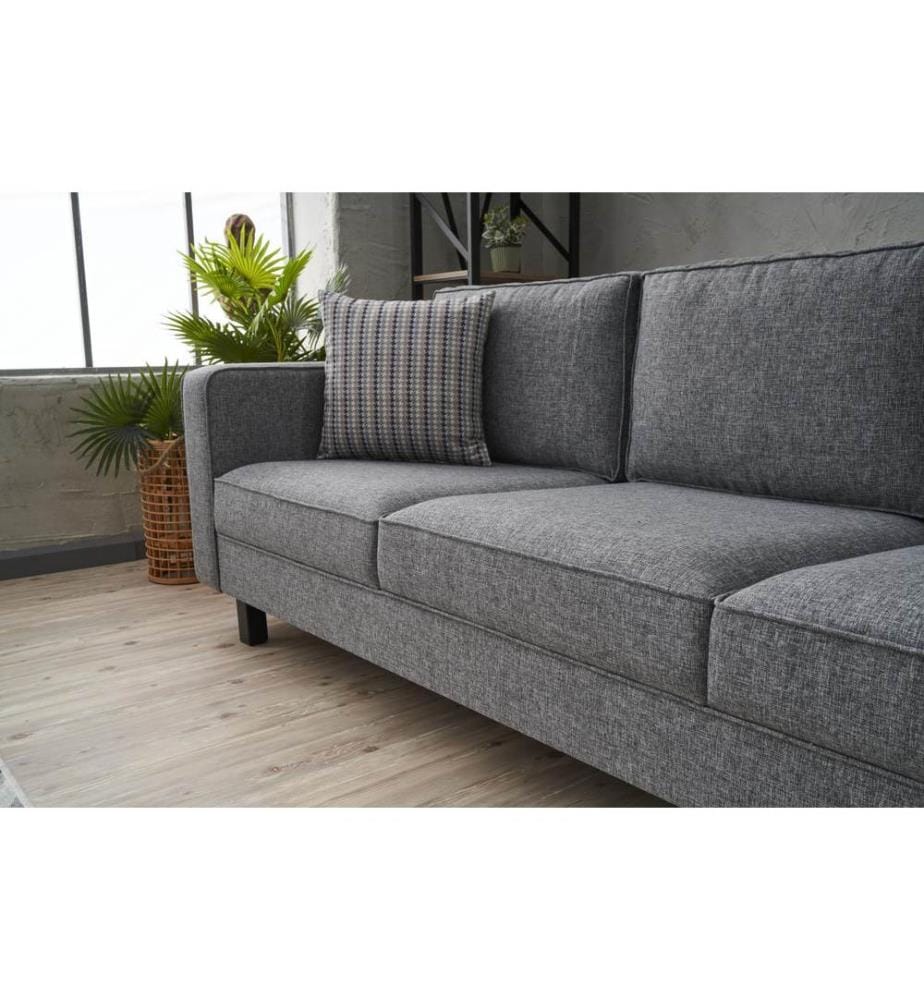 Grau, Schlafsofas, Buchenholz Rahmen