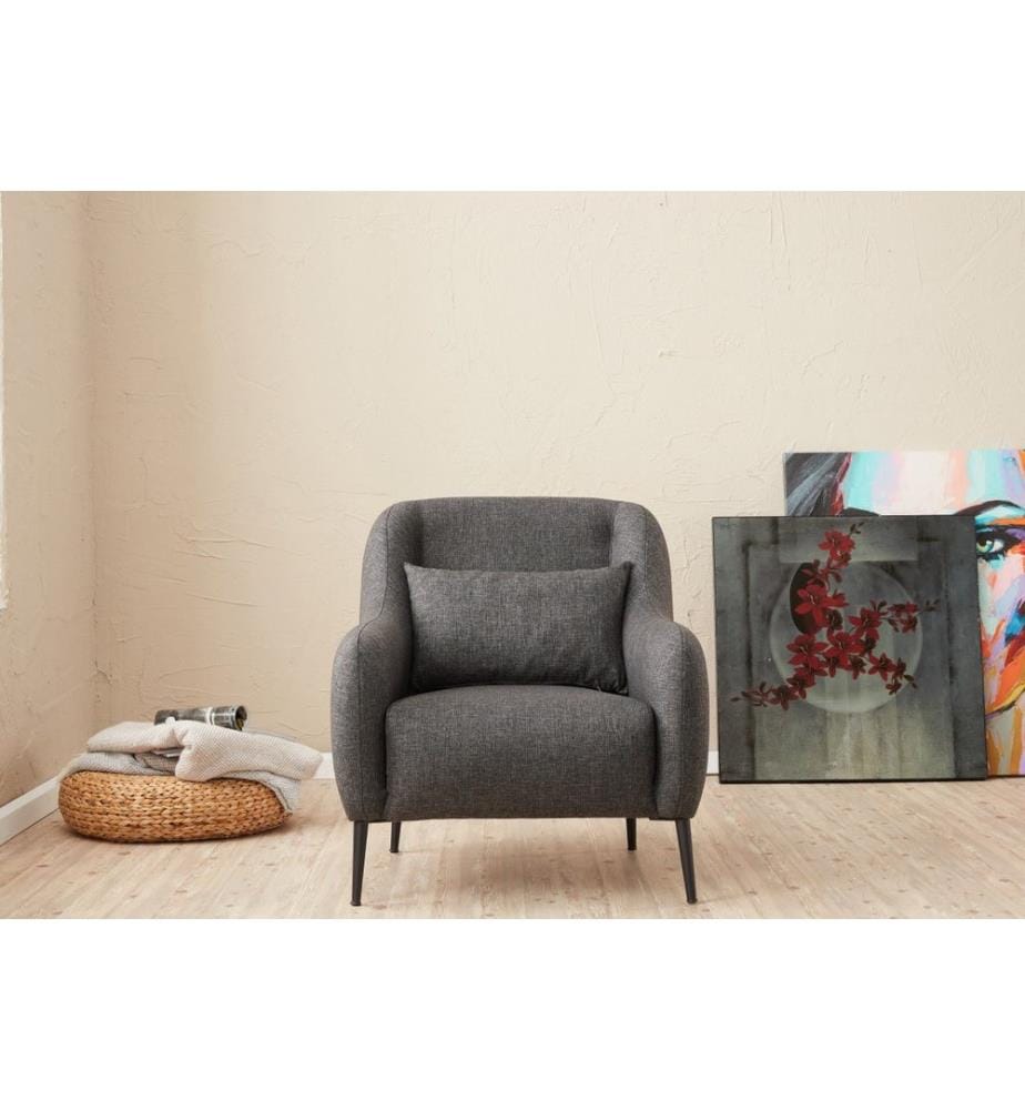 Anthracite, Canapé Lit, Bois Cadre Hêtre