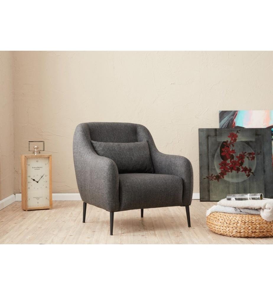 Anthracite, Canapé Lit, Bois Cadre Hêtre