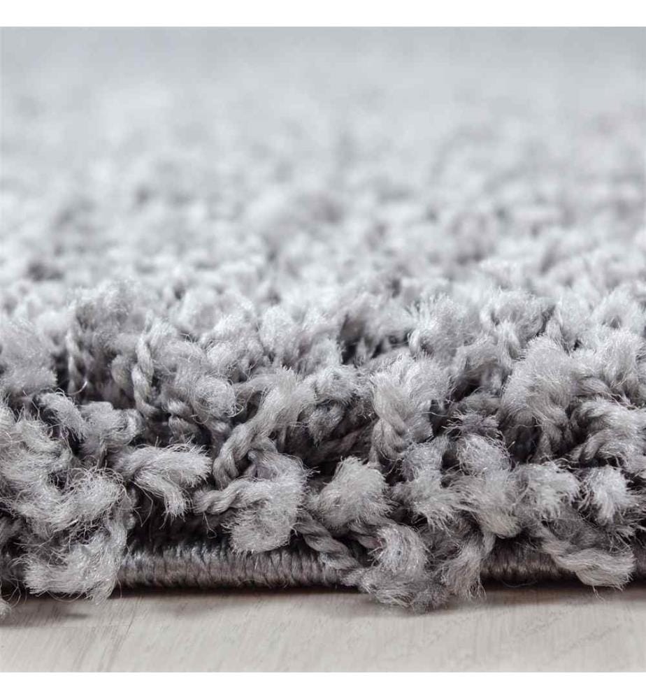 Tapis de hall, gris clair, 100% polypropylène, 80 x 150 cm