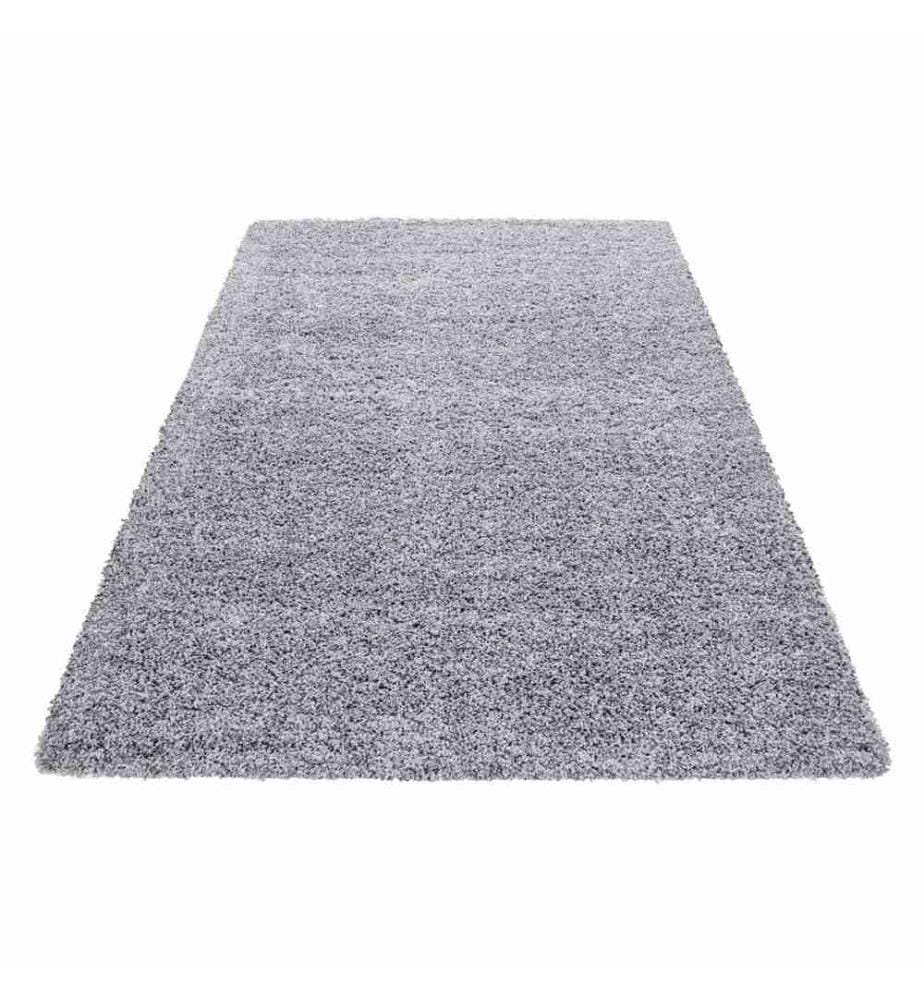 Tapis de hall, gris clair, 100% polypropylène, 80 x 150 cm