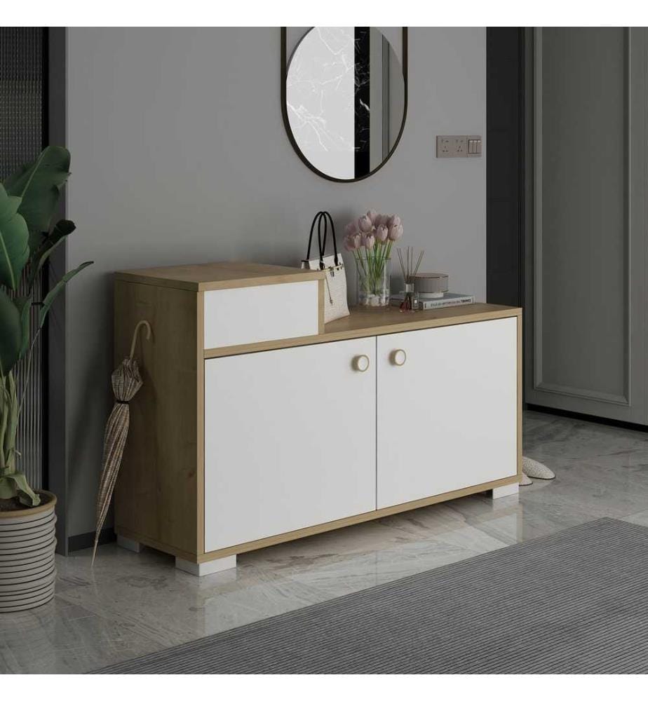 Meuble à chaussures, chêne saphir, blanc, panneau de particules de bois 100% mélaminé
