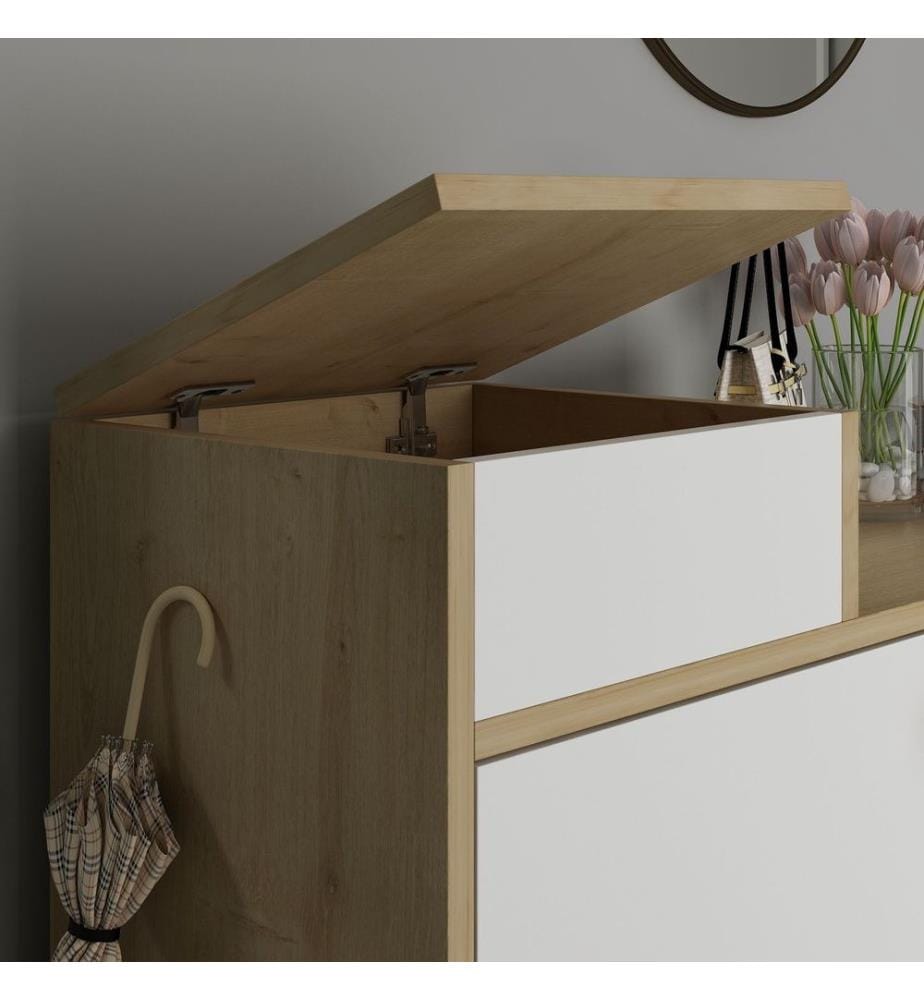 Meuble à chaussures, chêne saphir, blanc, panneau de particules de bois 100% mélaminé