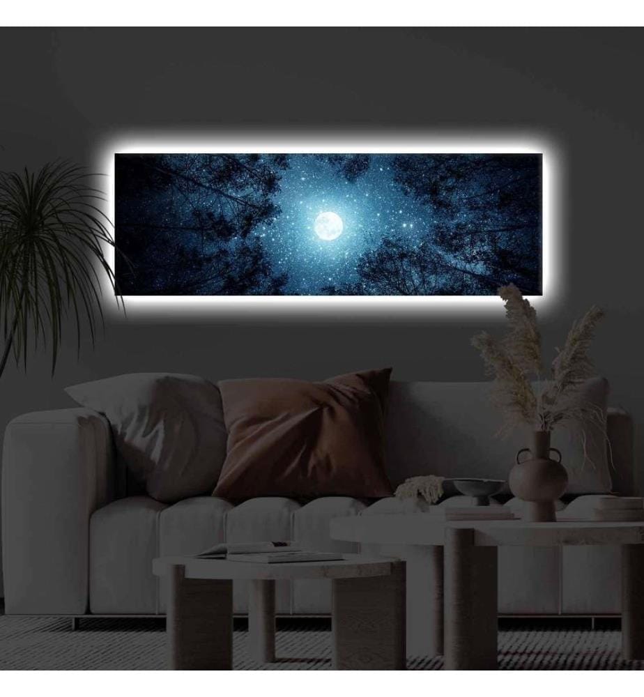 Dekorative Leinwandbilder mit Led-Beleuchtung, Multicolor, Polyester-Leinwand