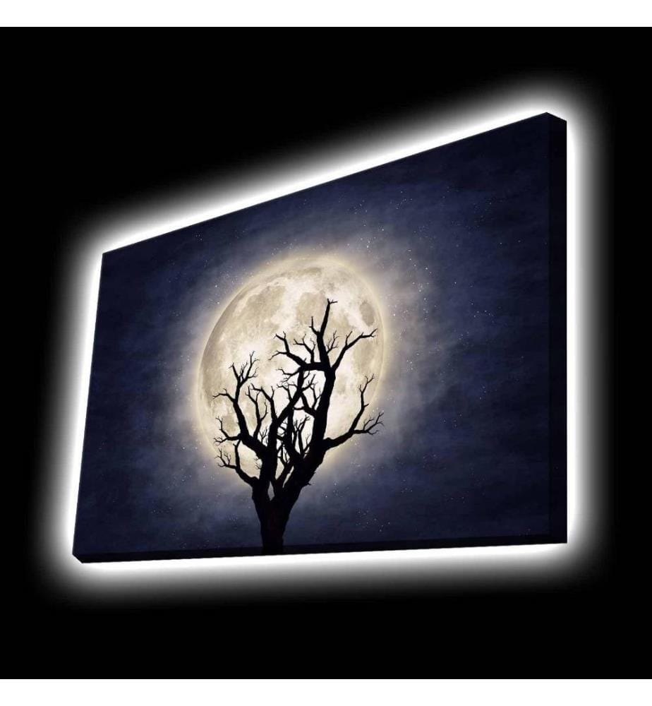 Dekorative Leinwandbilder mit Led-Beleuchtung, Multicolor, Polyester-Leinwand