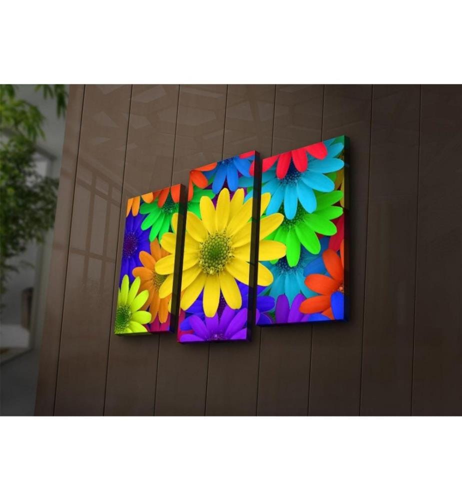 Dekorative Led beleuchtete Leinwand Gemälde, 3 Stück, Multicolor, Wildleder Leinwand