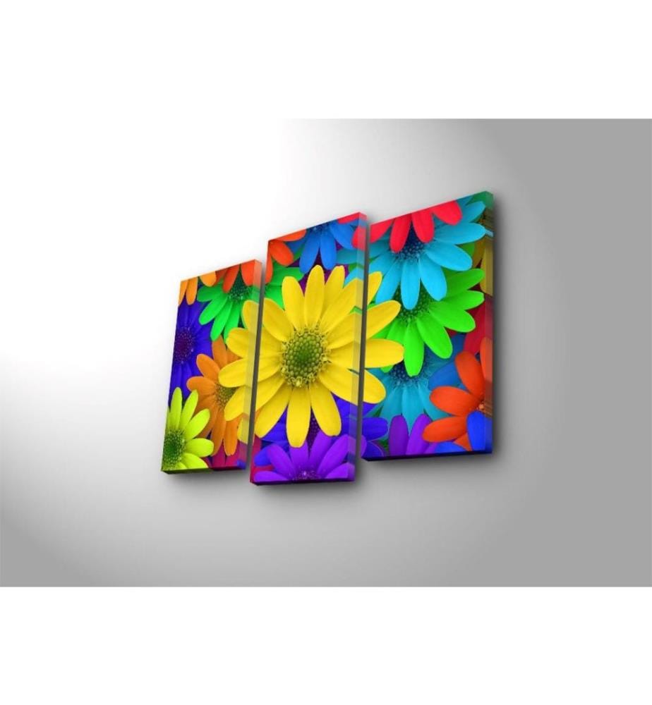 Dekorative Led beleuchtete Leinwand Gemälde, 3 Stück, Multicolor, Wildleder Leinwand