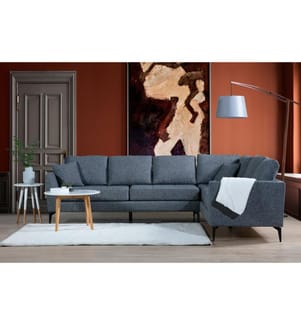 Dunkelgrau, Schlafsofas, Buchenholz Rahmen , Spanplatte