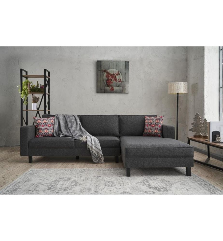 Anthrazit, Schlafsofas, Buchenholz Rahmen