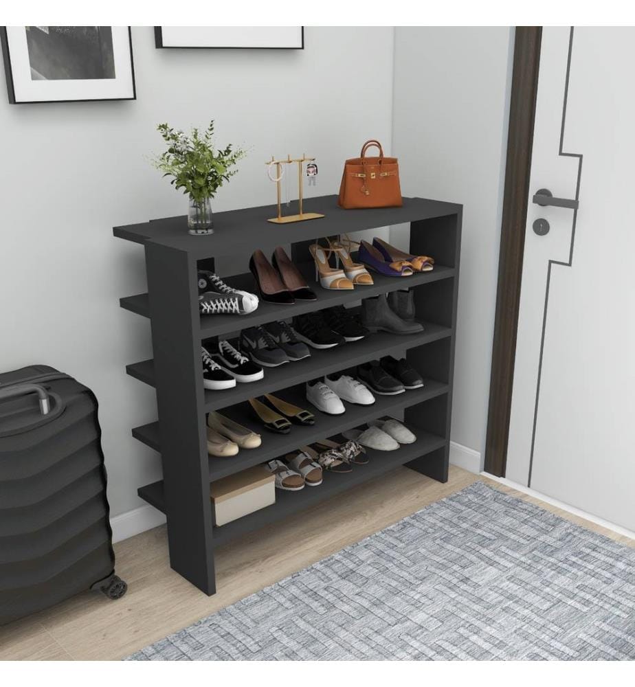 Schuhschrank, Anthrazit, Melaminharzbeschichtete Spanplatte
