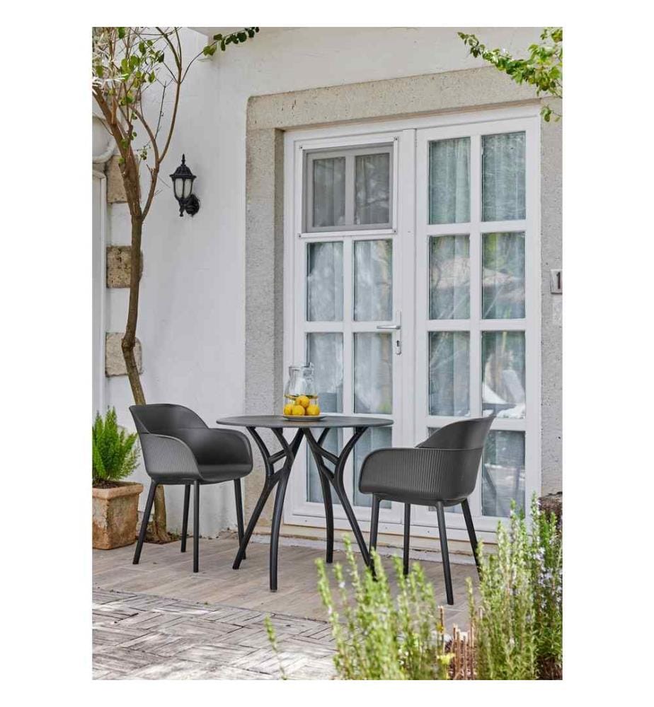 Ensemble de chaises, 2 pièces, Anthracite, 100% polypropylène