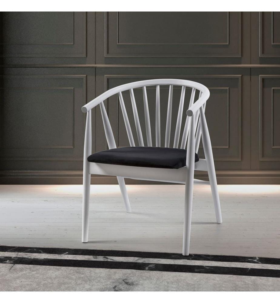 Chaise, blanc, noir, bois massif