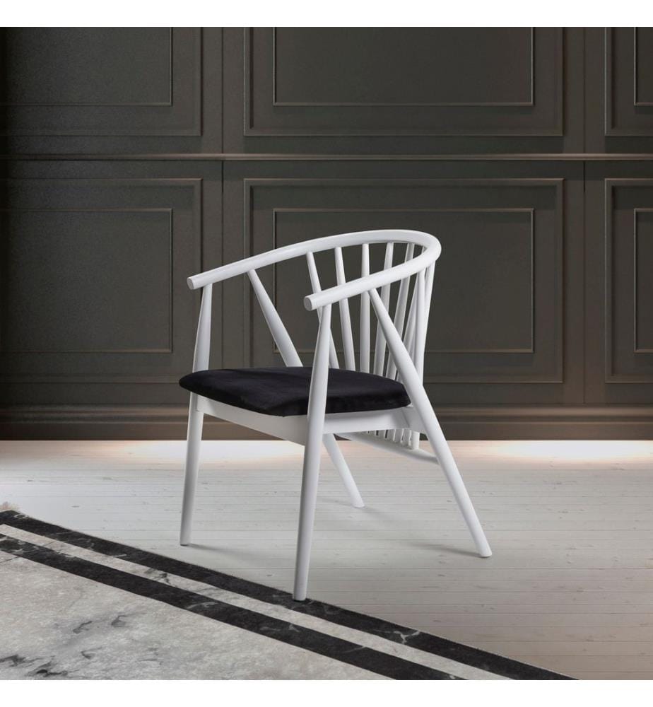 Chaise, blanc, noir, bois massif