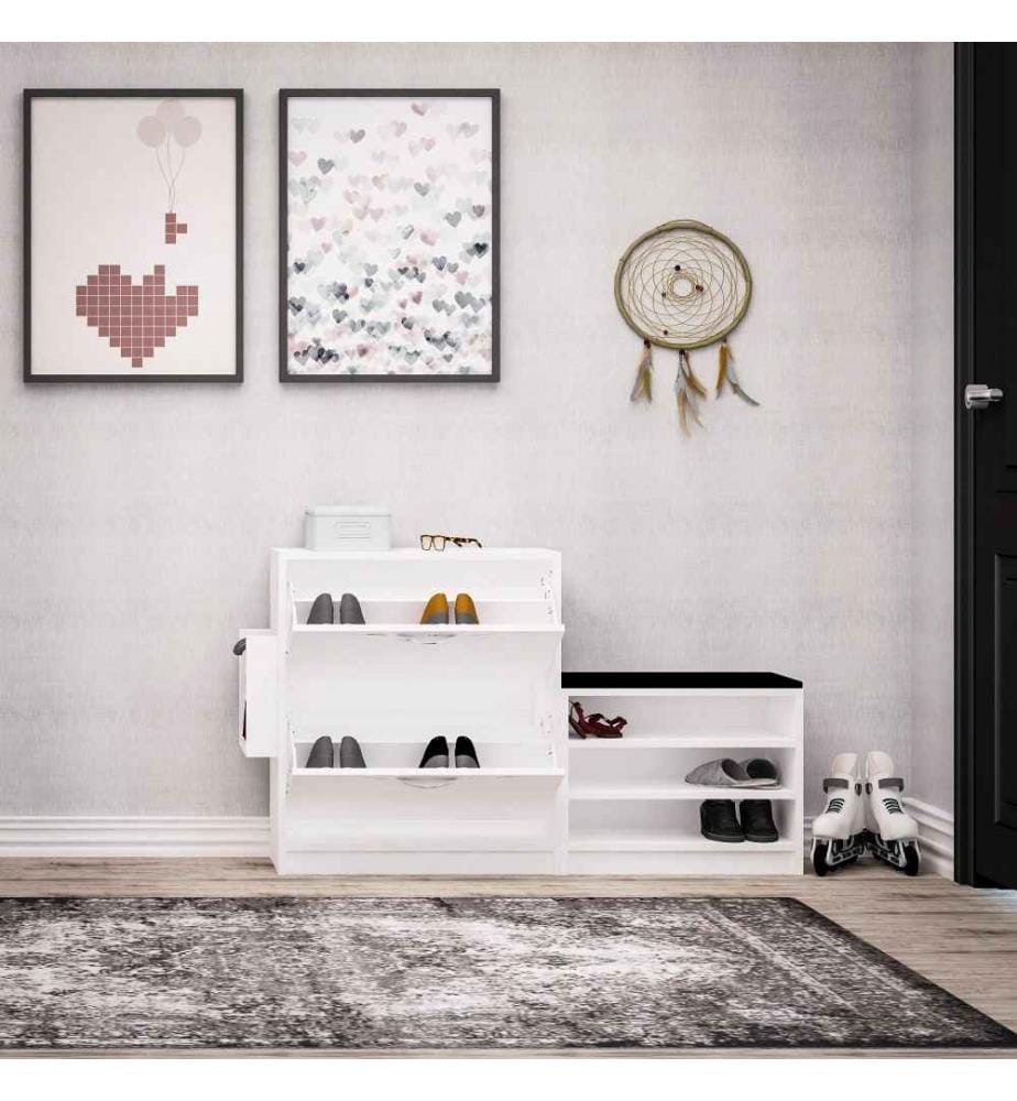 Meuble à chaussures, blanc, panneau de particules mélaminé