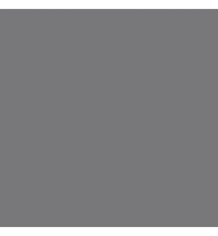 Tappeto, Grigio, 100% poliestere, 100 x 300 cm