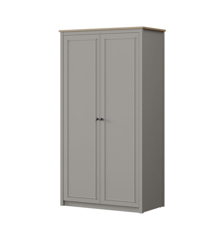 Armoire, panneaux de particules mélaminés 100 %, gris, chêne