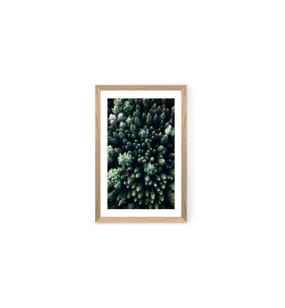 Completo copripiumino matrimoniale in raso, rosso, nero, azzurro, 100% raso di cotone
