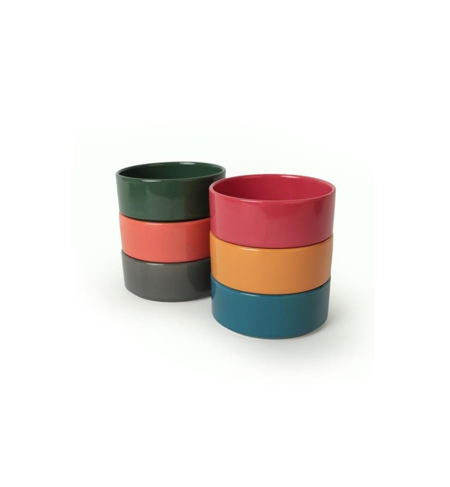 Bowl Set, 6 Pieces, Multicolor, 100% Ceramic, Antibacterial