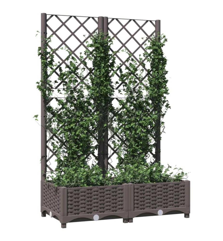 Jardinière avec treillis Marron 80x40x121,5 cm PP
