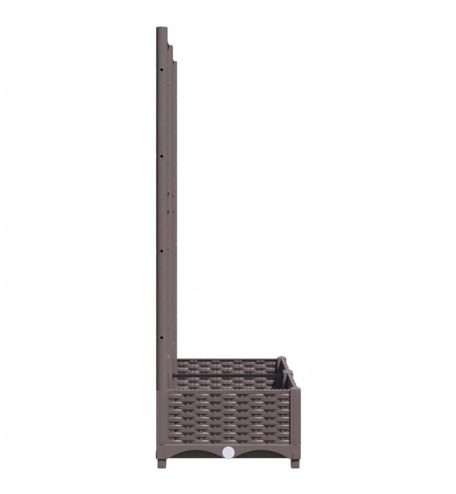 Jardinière avec treillis Marron 80x40x121,5 cm PP