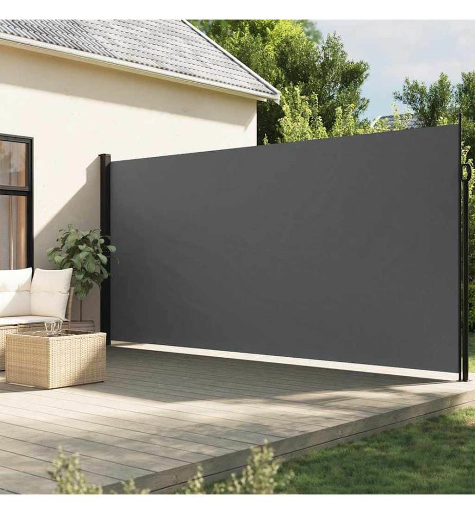 Ausziehbare Seitenmarkise Anthrazit 200x300 cm