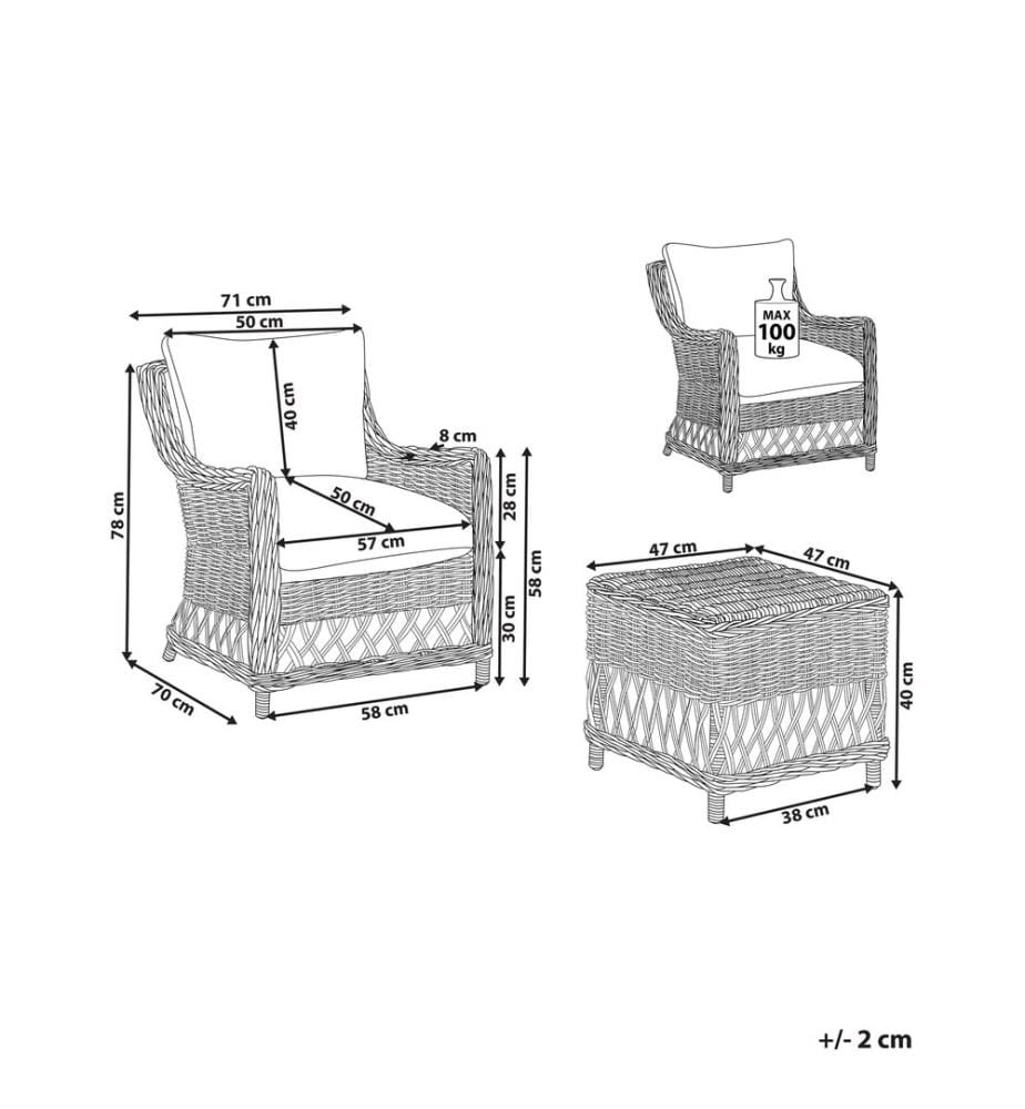 Lot de 2 fauteuils de jardin avec coussins RIBOLLA Rotin Naturel