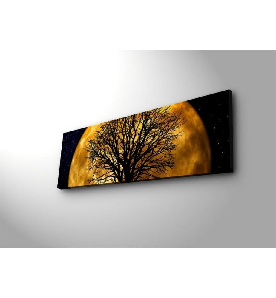 Wallxpert Decorative Led Lighted Canvas Painting… | DeinDeal